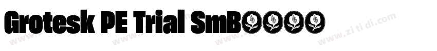 Grotesk PE Trial SmB字体转换